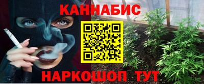 Альфа ПВП Кингисепп