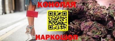 Альфа ПВП Кингисепп