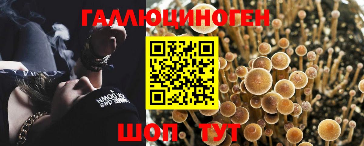 Красный Сулин  Галлюциногенные грибы мицелий  Вход с VPN 