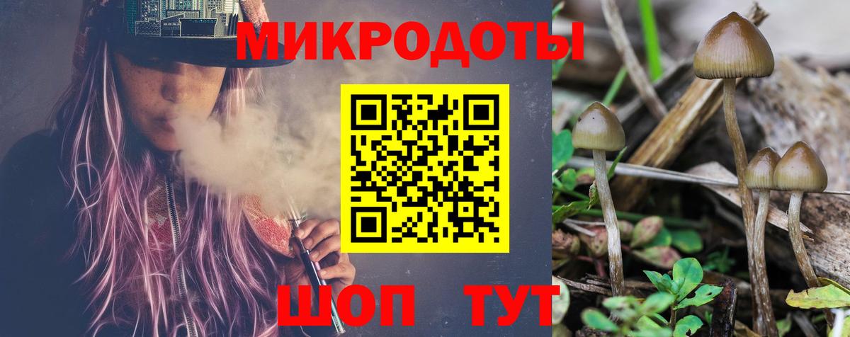 Псилоцибиновые грибы Psilocybe Красный Сулин